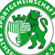 2013 - heute SG Sachsen Leipzig